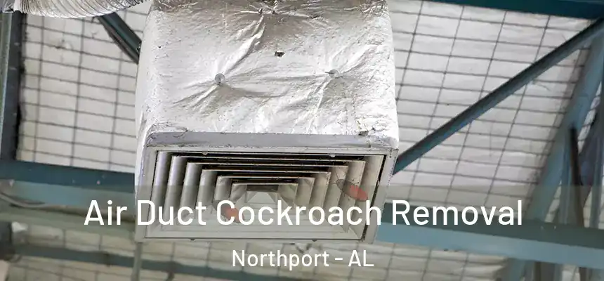  Air Duct Cockroach Removal Northport - AL