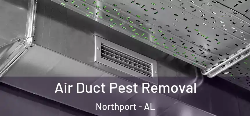  Air Duct Pest Removal Northport - AL