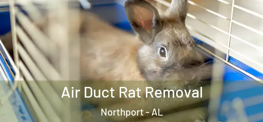  Air Duct Rat Removal Northport - AL