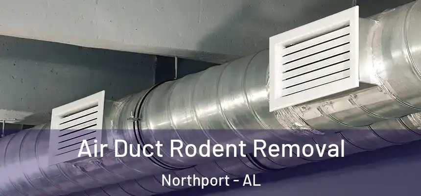  Air Duct Rodent Removal Northport - AL