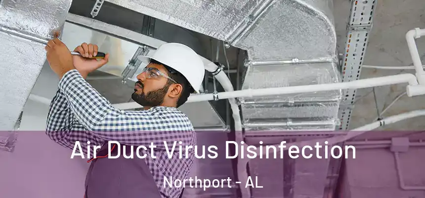  Air Duct Virus Disinfection Northport - AL