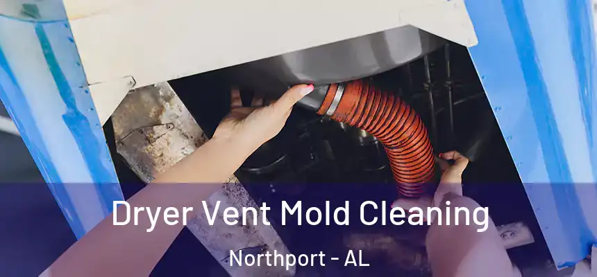  Dryer Vent Mold Cleaning Northport - AL
