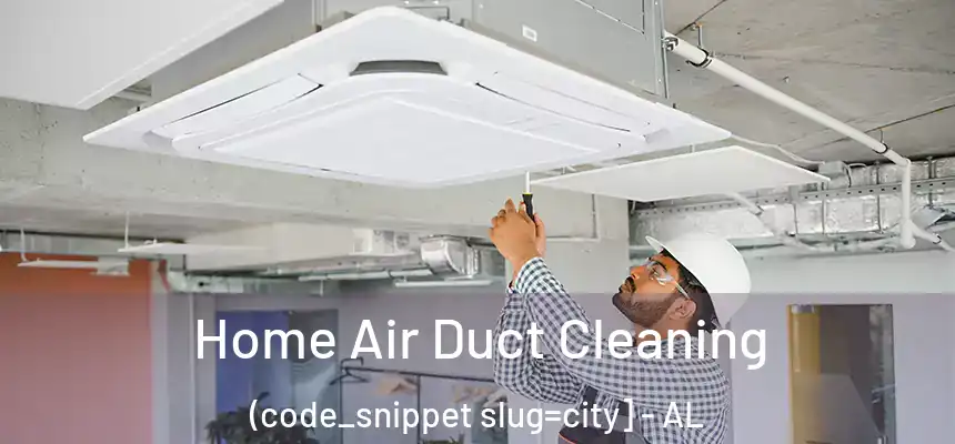  Home Air Duct Cleaning (code_snippet slug=city] - AL