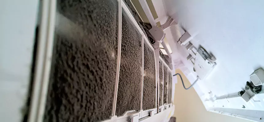 Preventive Air Duct Bacteria Removal in Northport