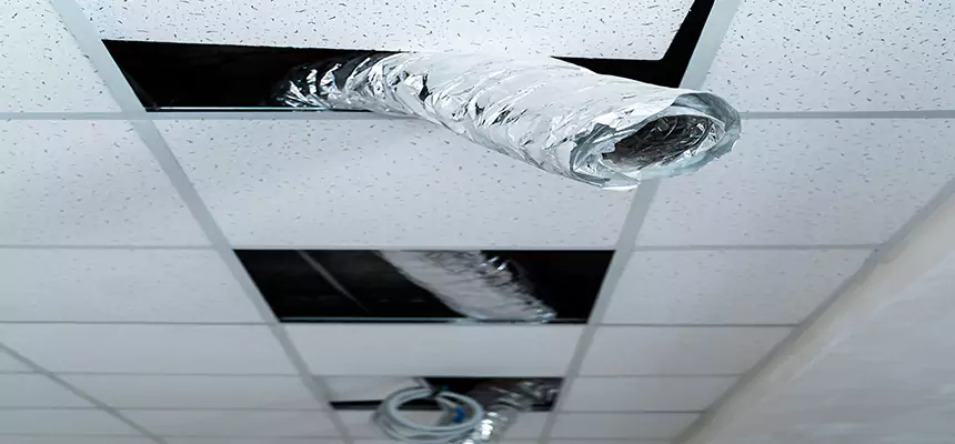 Our Air Duct Pet Hair Removal Services in Northport, AL