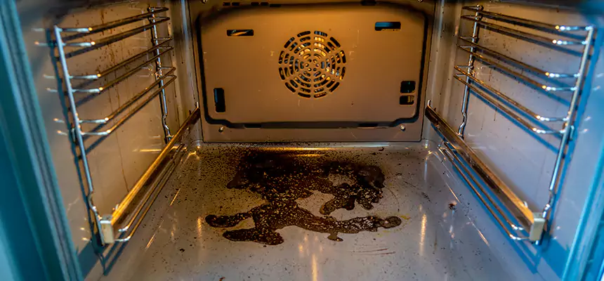 Our Dryer Vent Mold Cleaning Services in Northport, AL