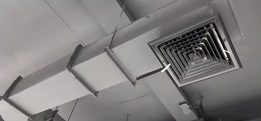 Our Pest Removal From Ducts Services in Northport, AL