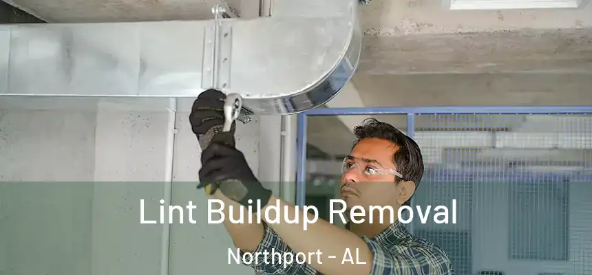  Lint Buildup Removal Northport - AL