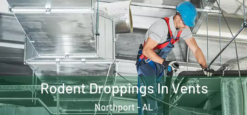  Rodent Droppings In Vents Northport - AL