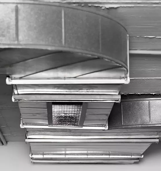 Professional Air Duct Pest Removal in Northport, AL