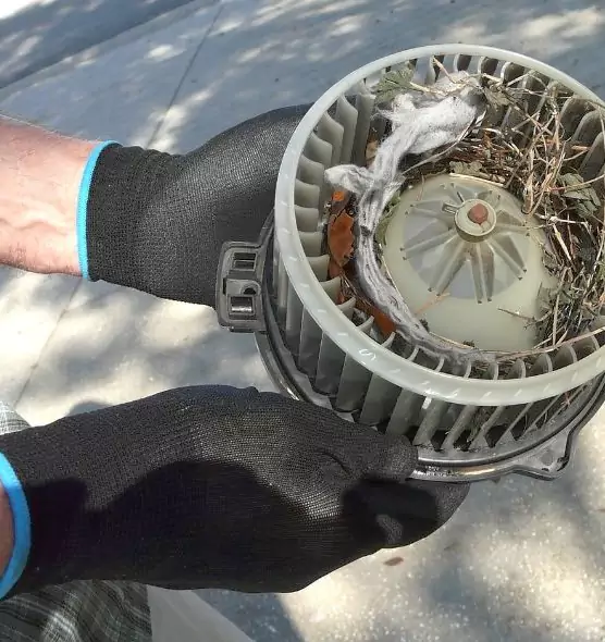 About Air Duct Rat Removal in Northport, AL