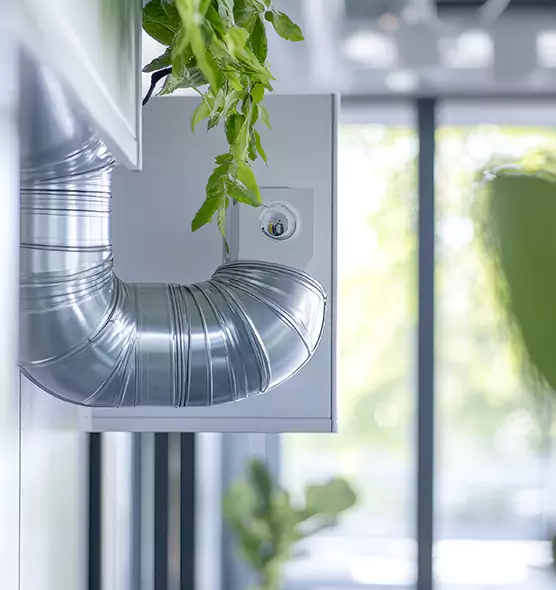 Professional Eco-Safe Dryer Vent Cleaning in Northport, AL