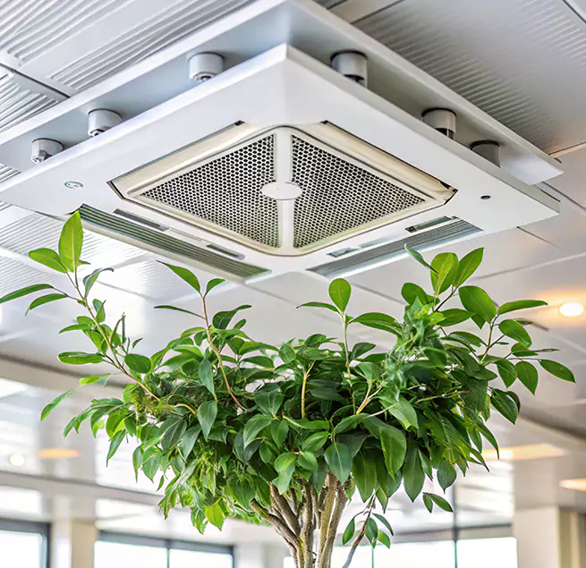 Why Homeowners & Businesses Trust Us in Northport, AL